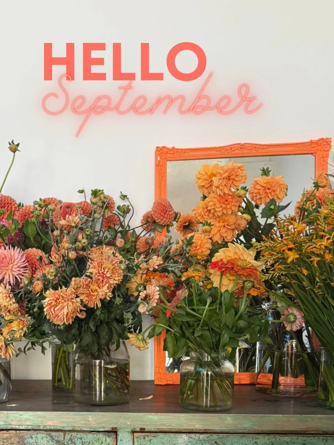 Why Hello September!! 

September brings that lovely sense of new beginnings &ndash; the children back to school, the seasons shifting, and autumn quietly making its arrival. It&rsquo;s a time of fresh starts, and here at The Bath Flower School we&rs
