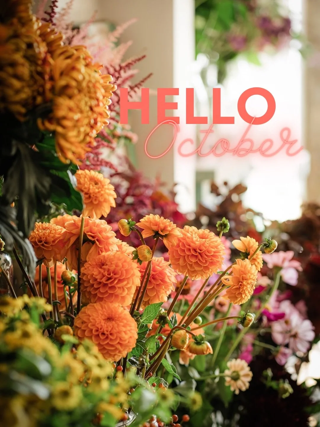 Why Hello October!

October is one of our favourite months in the school room. The dahlias are still going strong, the hedgerows are full of rosehips, berries and seed heads, and the colours become richer and deeper. It&rsquo;s a wonderful time to wo