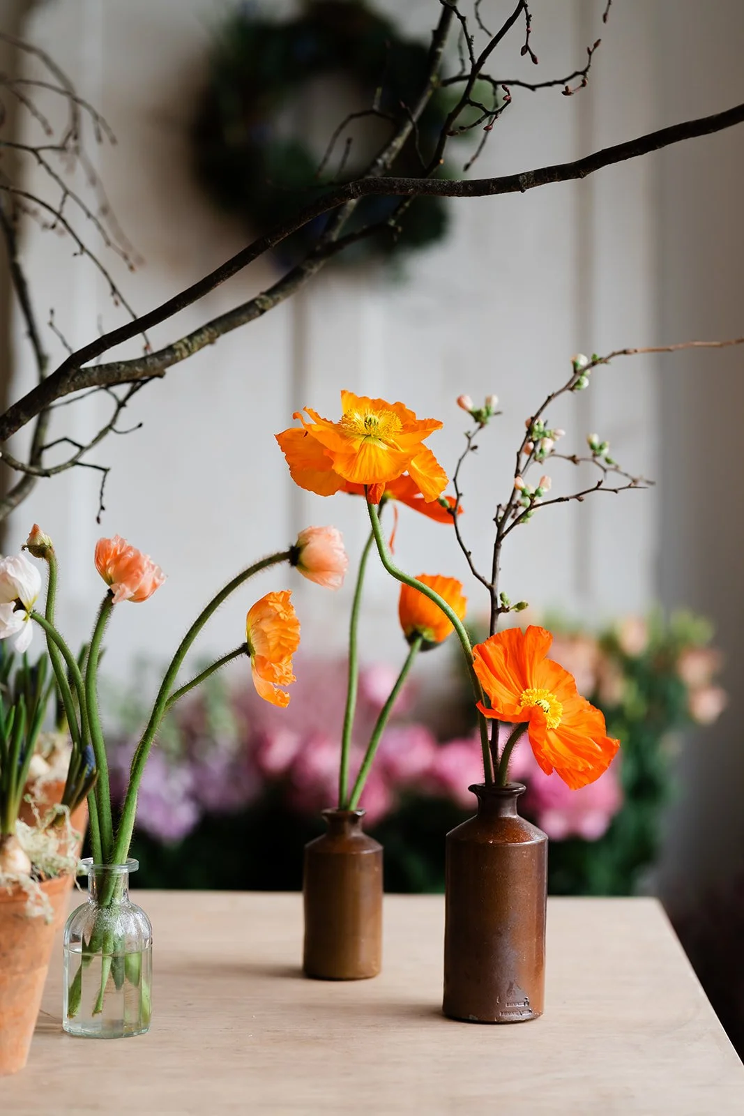Flower Photography Course