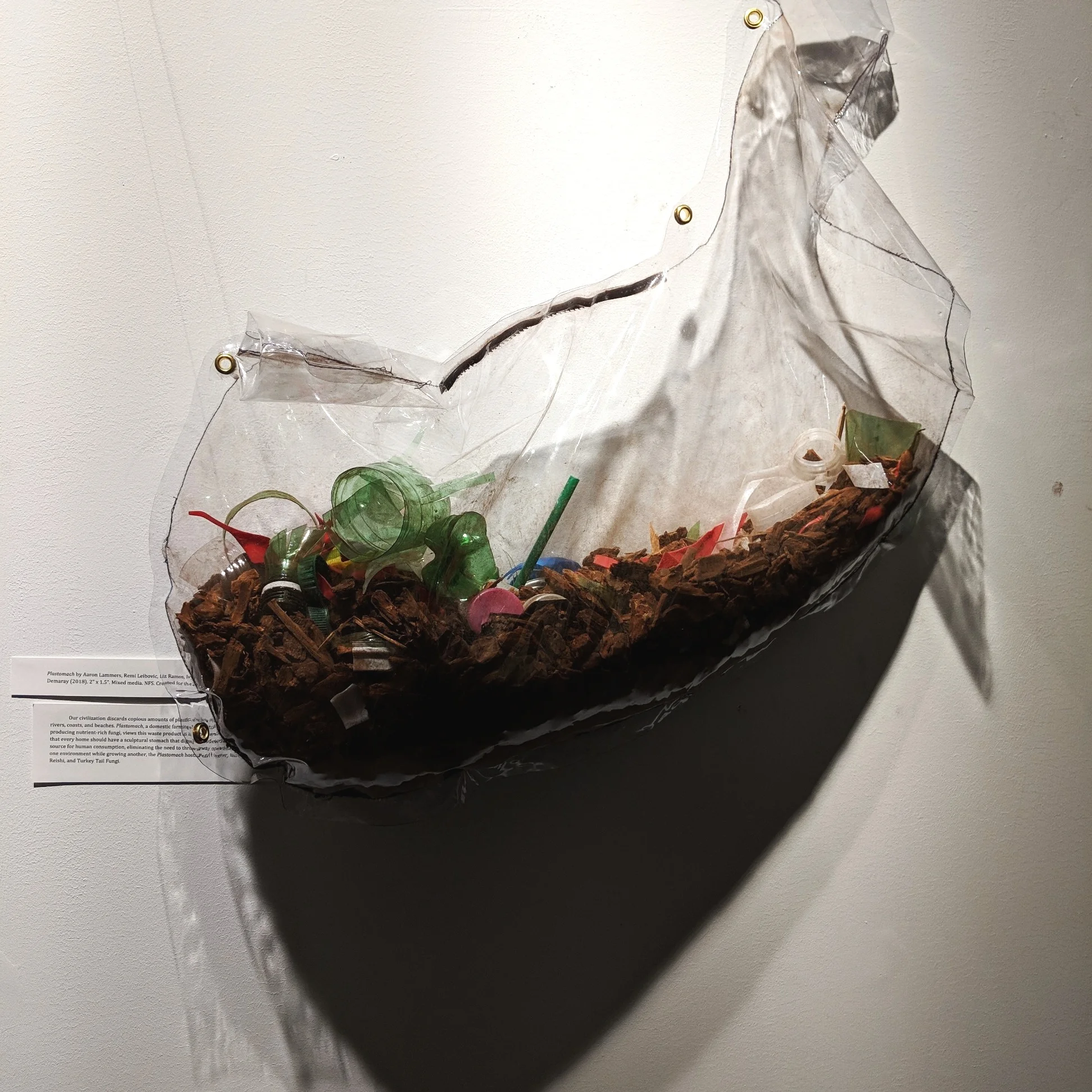 The Plastomach, The Plastic Eating Stomach
