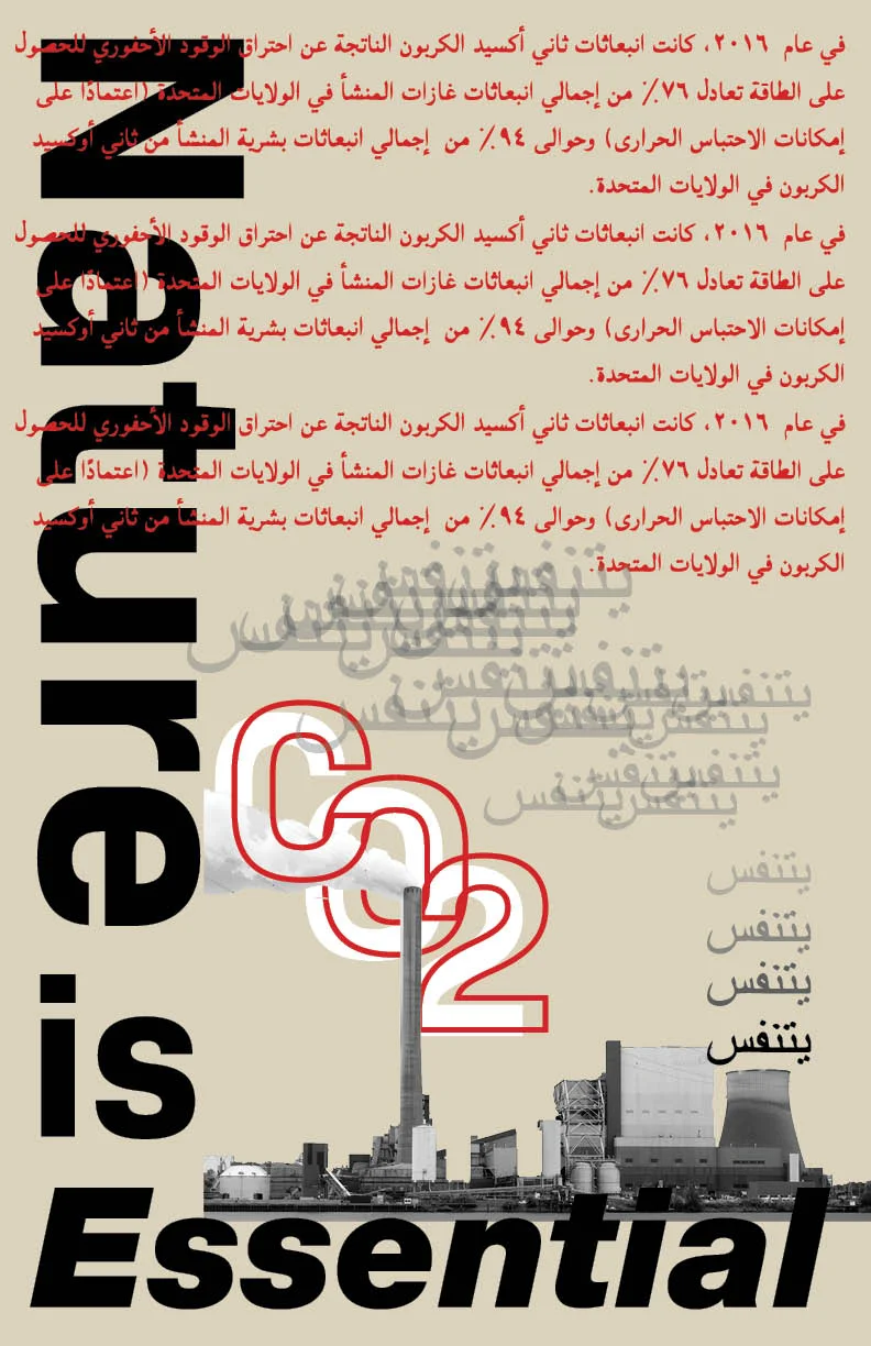 language poster.jpg