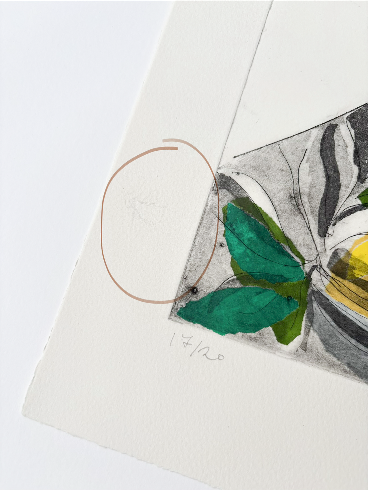 Danby Street_17_20_IMG_0808_NEW_smaller.png