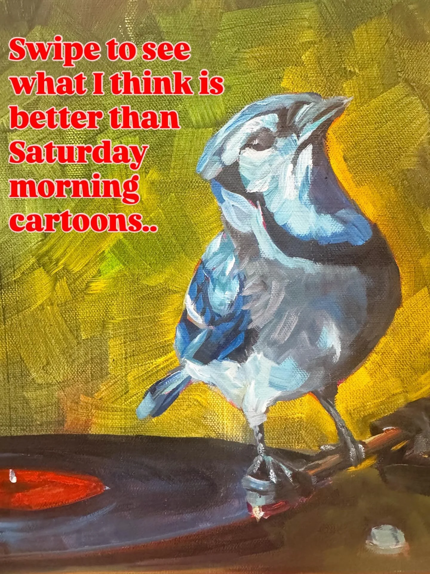 More drama than Game of Thrones.

More comedic than The Office.

And I find myself consumed with questions like&hellip;

&ldquo;How many ravens would it take to steal a rotary phone?&rdquo;

&ldquo;Could a baby raccoon sleep comfortably in vintage Py