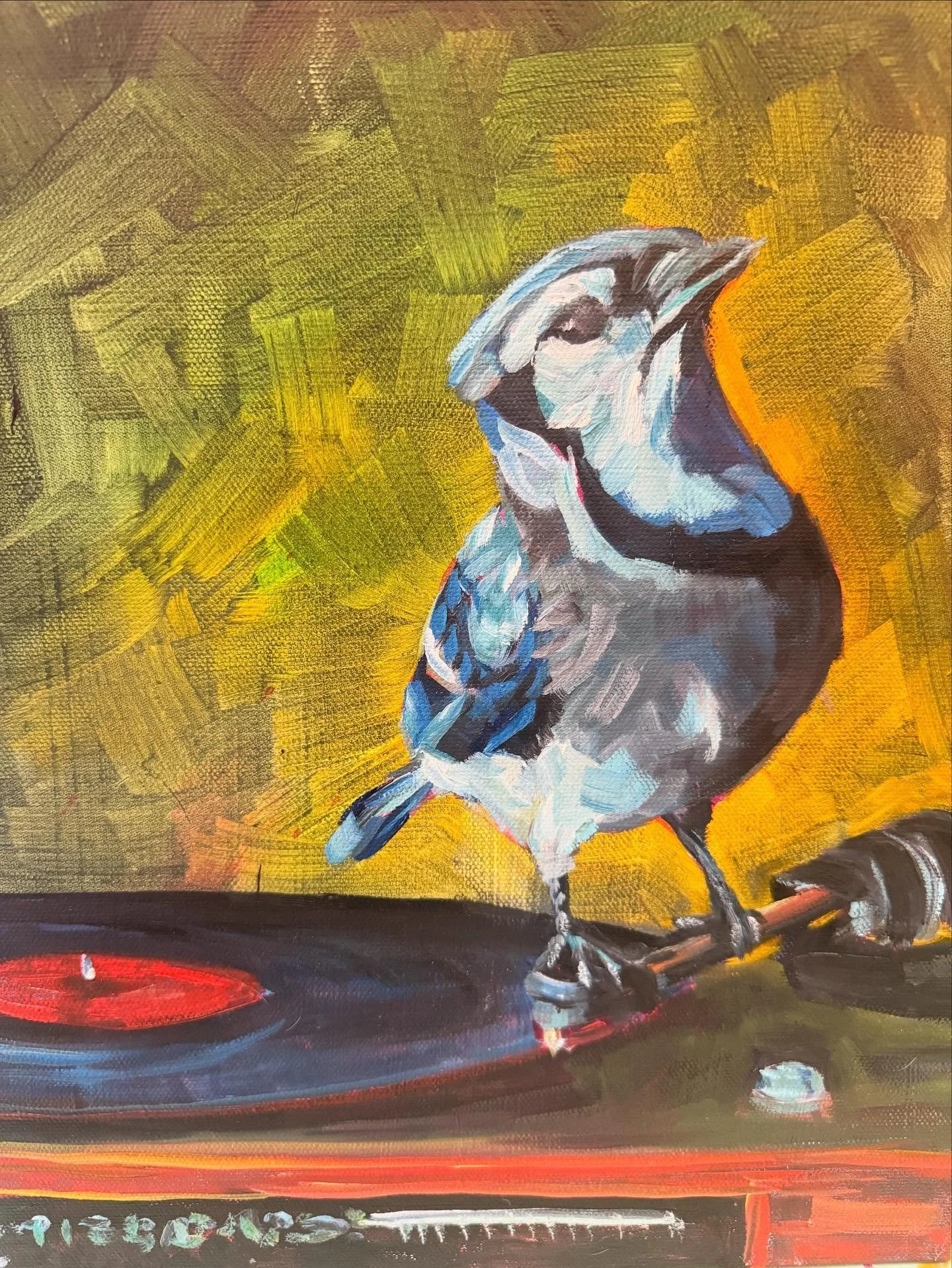 Let&rsquo;s just give this beauty boy some love before he flies to his forever home this week.

&ldquo;Spin that tune DJ Blue!&rdquo;
11 x 14&rdquo; oil on canvas 
🔴sold

#bluejay #bluejayart #blue #vinyl #vinyllove #bluejaylove #vintagestyle #vinta