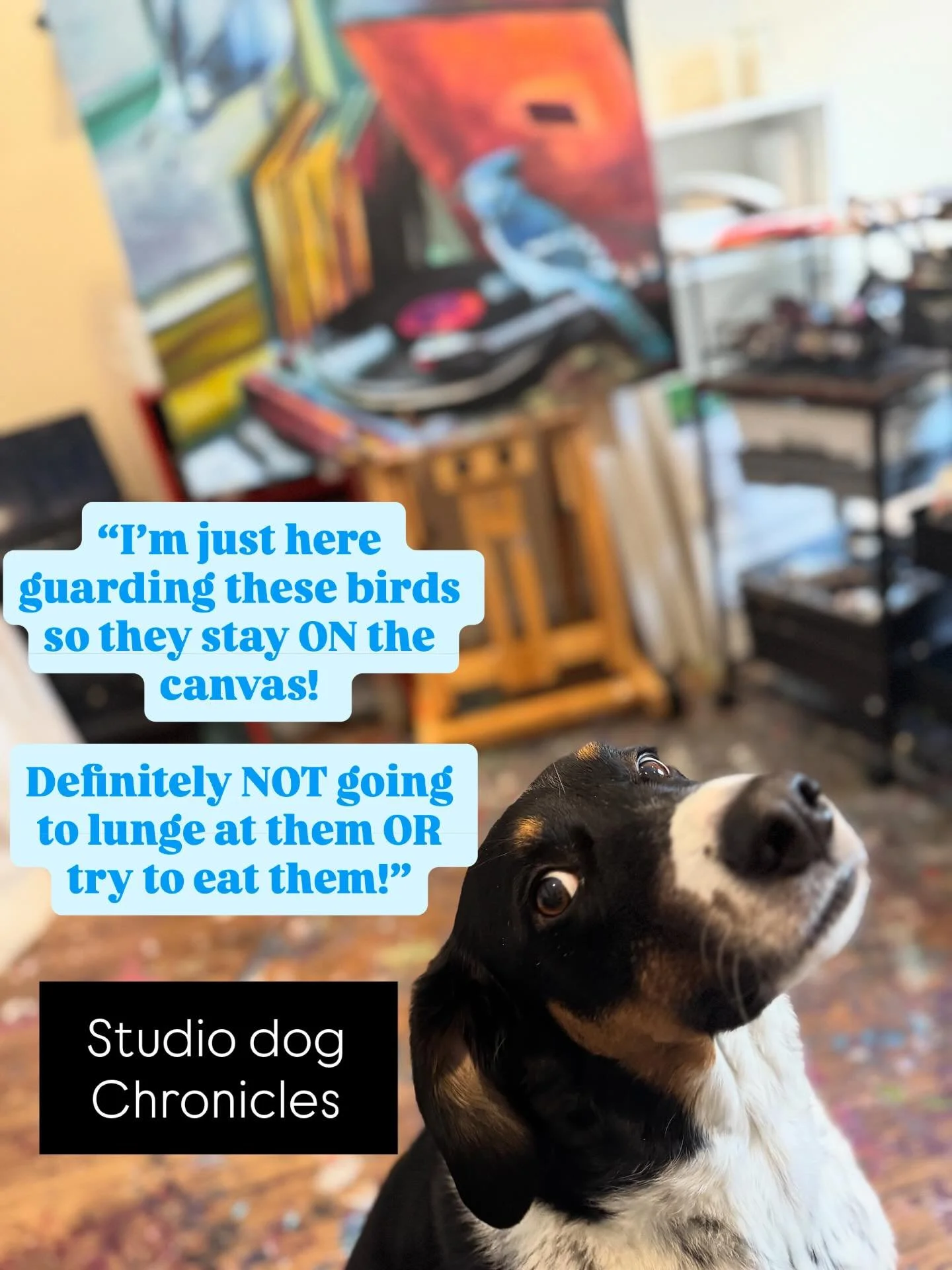 Swipe to see what I imagine is going through her mind😂

I&rsquo;m also unsurprisingly dealing with all the migraine, vertigo and sensory distortions that come with this change of seasons.  But every now and then, throughout the day, I spend a bit of