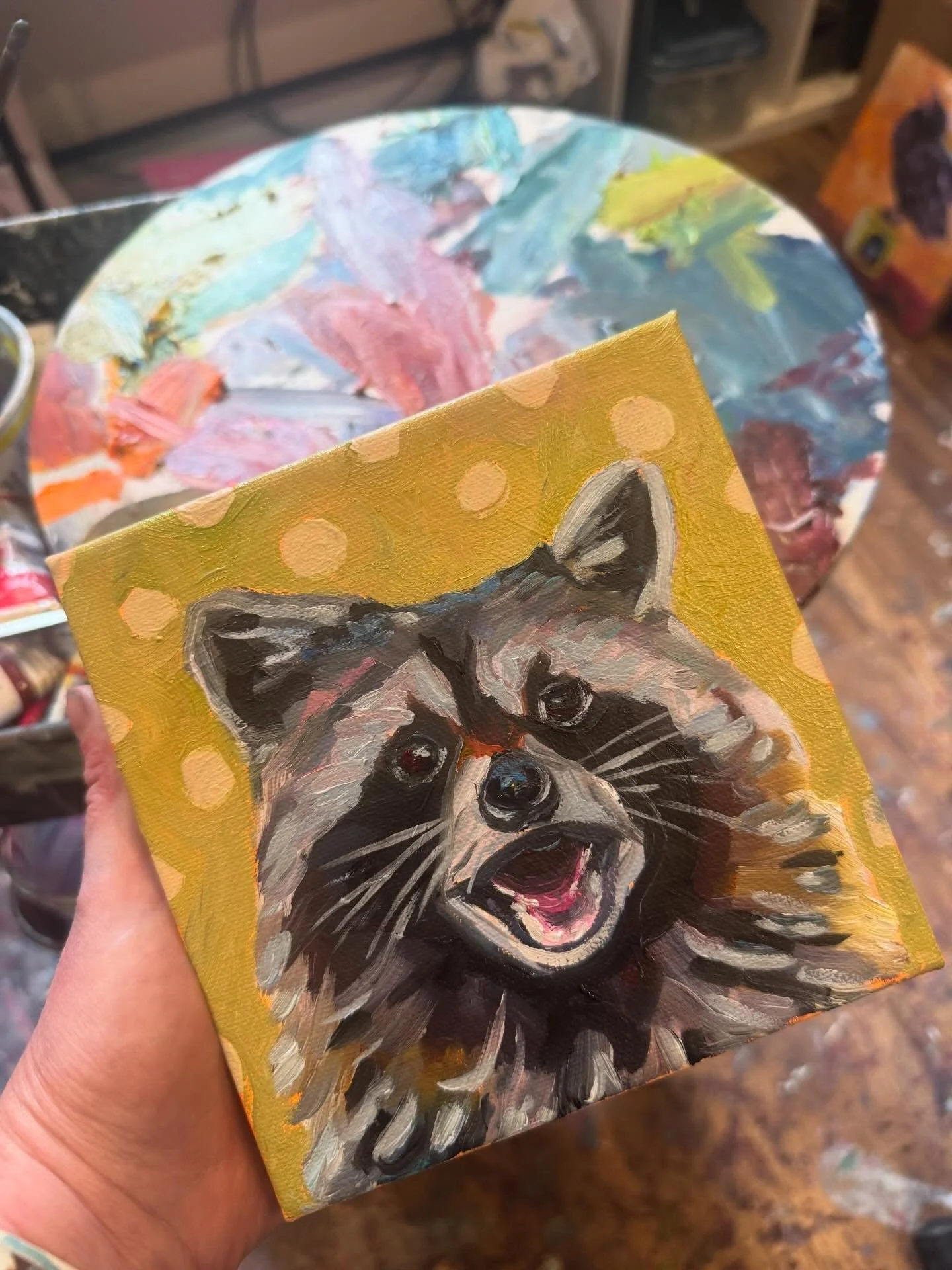 We ditched the city 4 years ago and truthfully, I have not seen a single living raccoon since.

In Toronto, we saw them daily.  Between the family of them that took residence in the front column of our old house, to a strange &ldquo;abandoned&rdquo; 