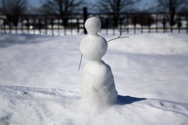 snow man.jpg