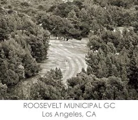 GRID-ROOSEVELT.jpg