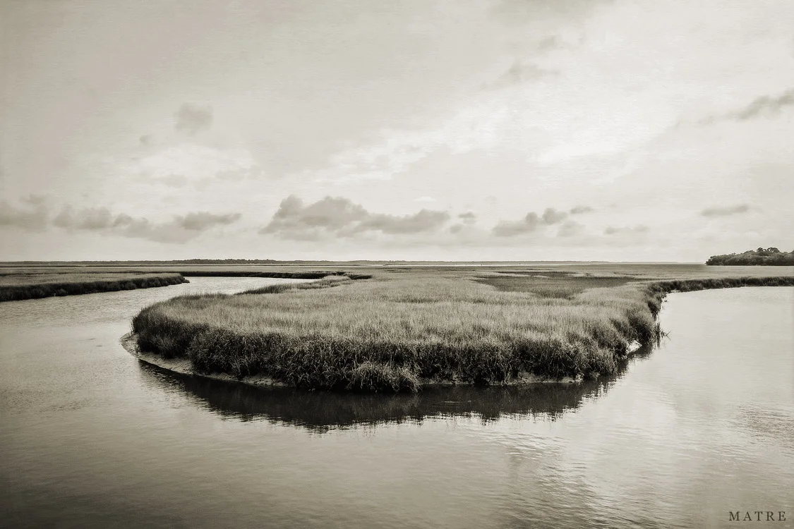Oak Marsh