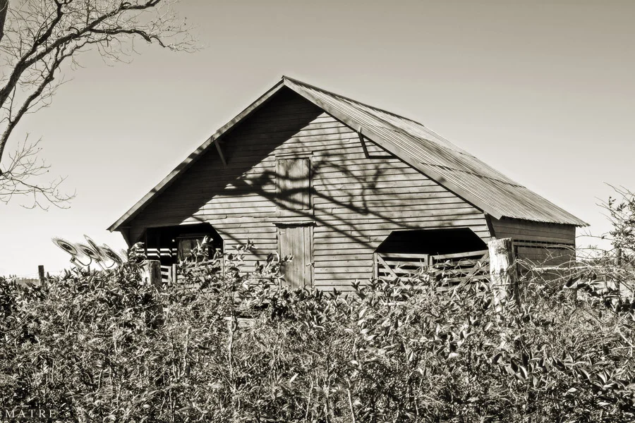 McDuffie County, GA
