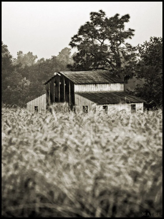 Tobacco Road
