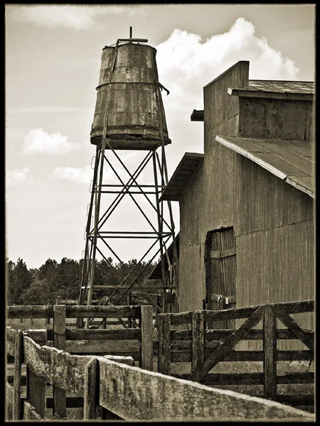 Bonds Trail Road | Sumter County, GA