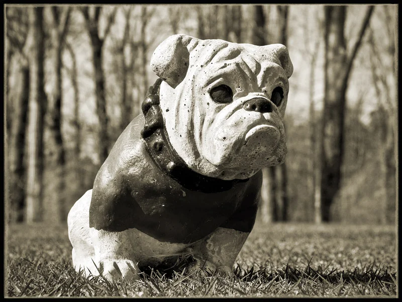 Uga Tee | University of Georgia Golf Course | Athens, GA