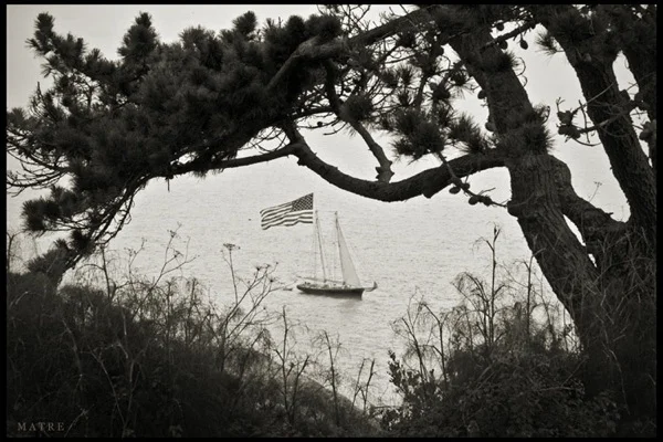 Torrey Pines | La Jolla, CA | 2008 U.S. Open