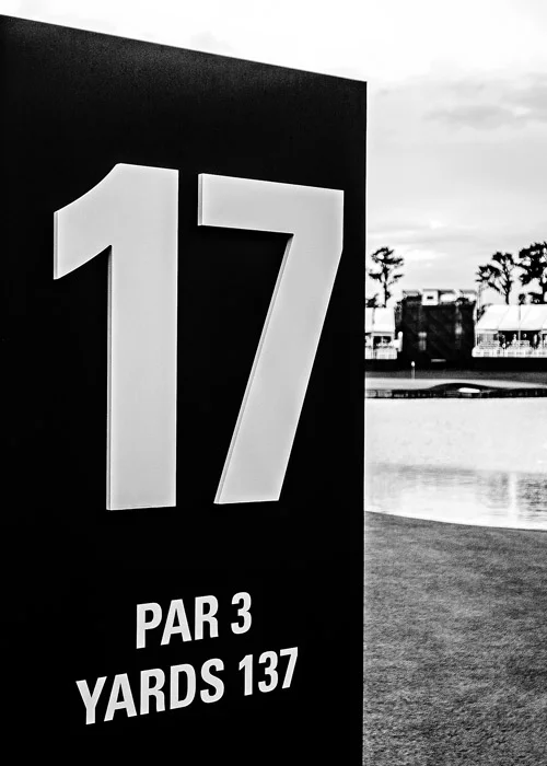 TPC19_17-SIGN_8458_42x30_s.jpg