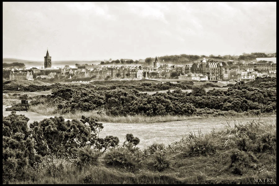 The New Course