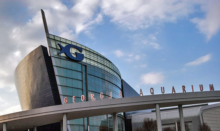 Georgia Aquarium Atlanta, GA archival pigment print 30 x 50 inches