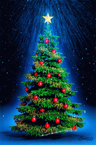 Family Support Session - Christmas Signing with Juliete