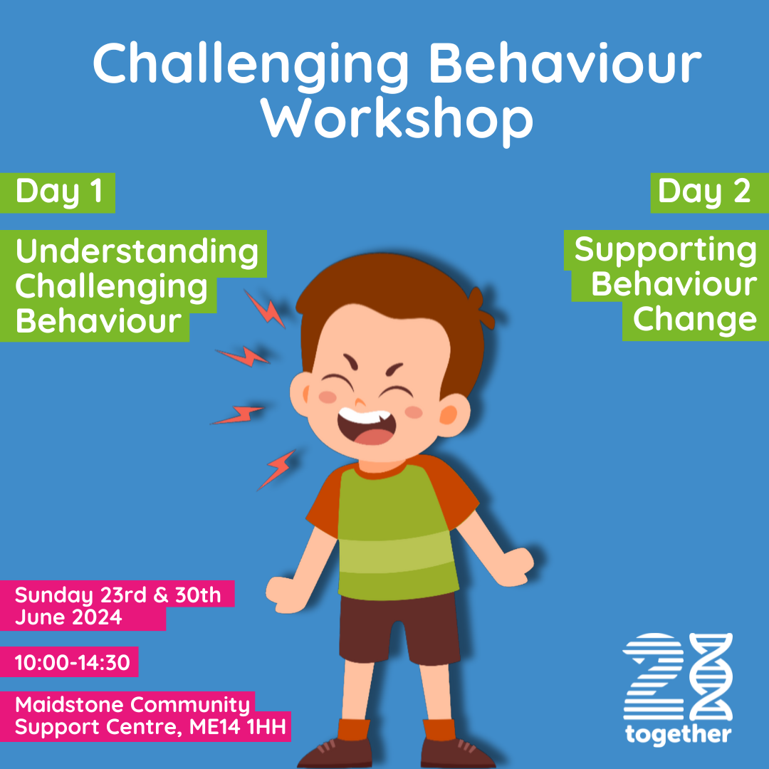 Challenging Behaviour Training
