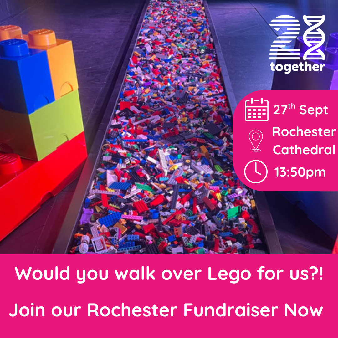 Brave the Bricks - LEGO<span class="sqsrte-text-color--accent">®</span> Walk Challenge