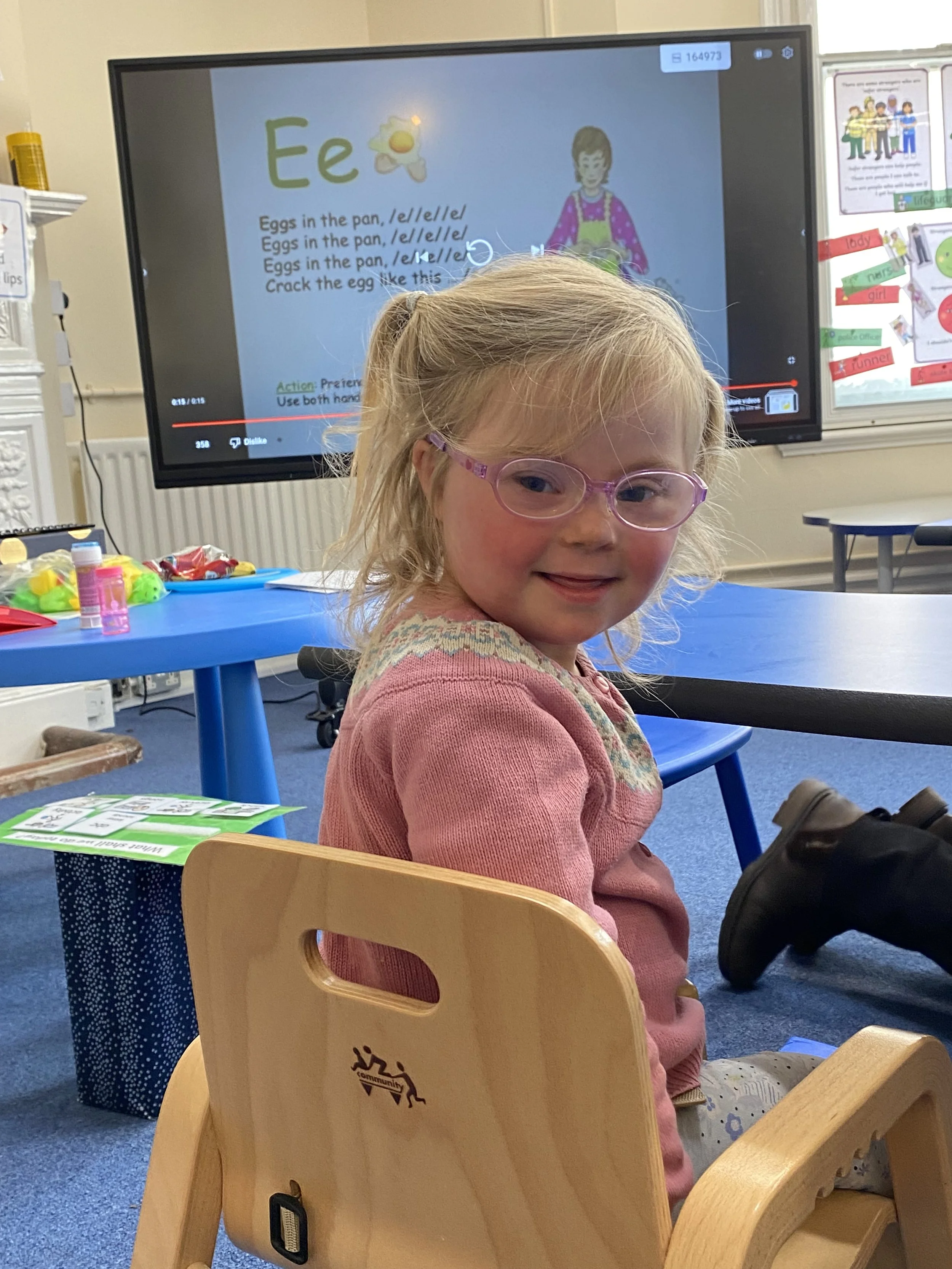 Professional services to schools to assist with teaching with Down's syndrome