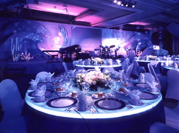 Toshiba Gala Awards Dinner - Ritz Carlton, Newport Beach