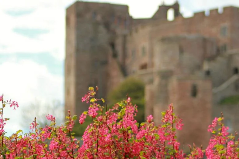 GIVE CROP SCOTLAN.jpg