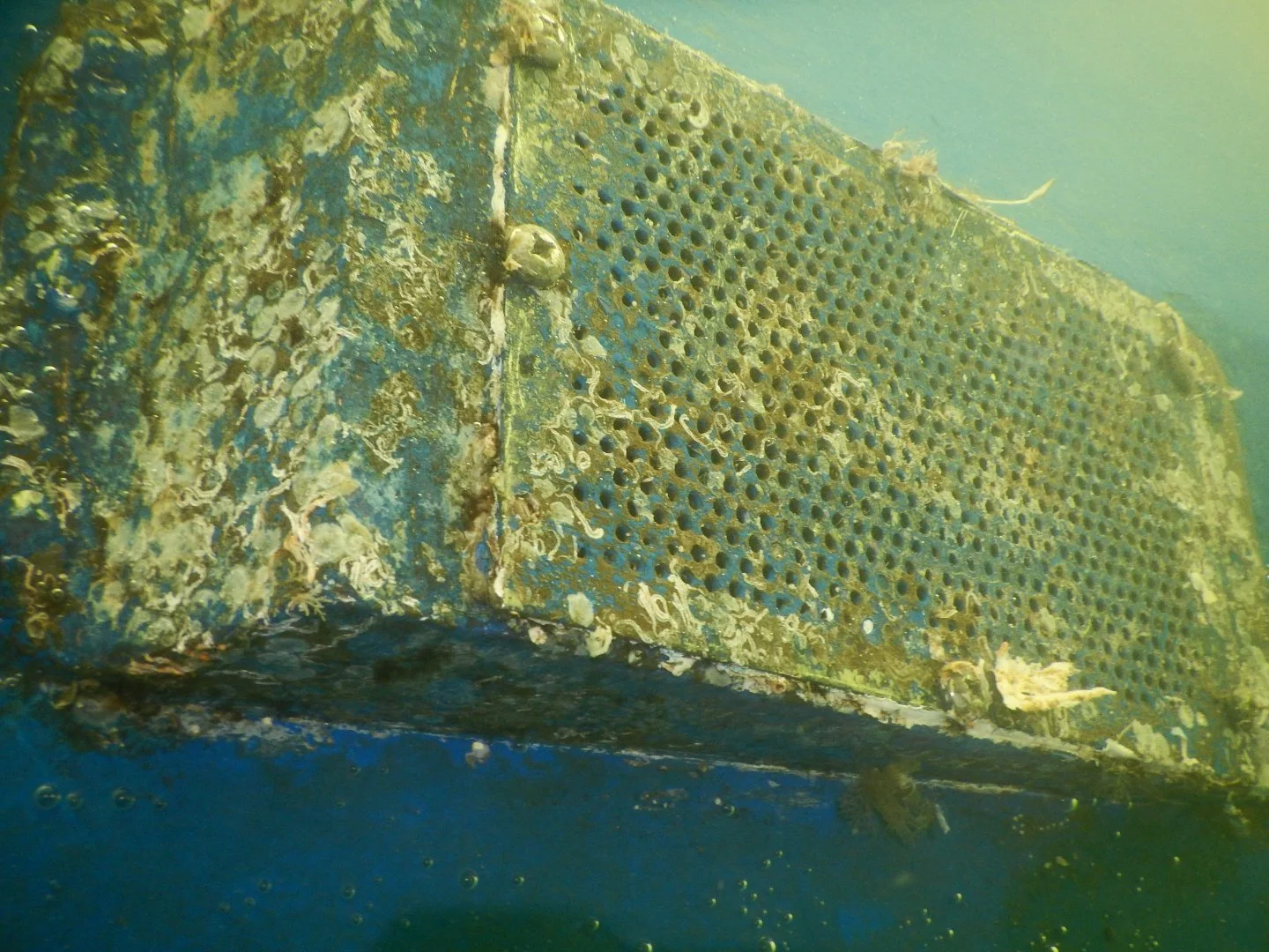 Underwater photo of a boat intake grate that has been cleaned