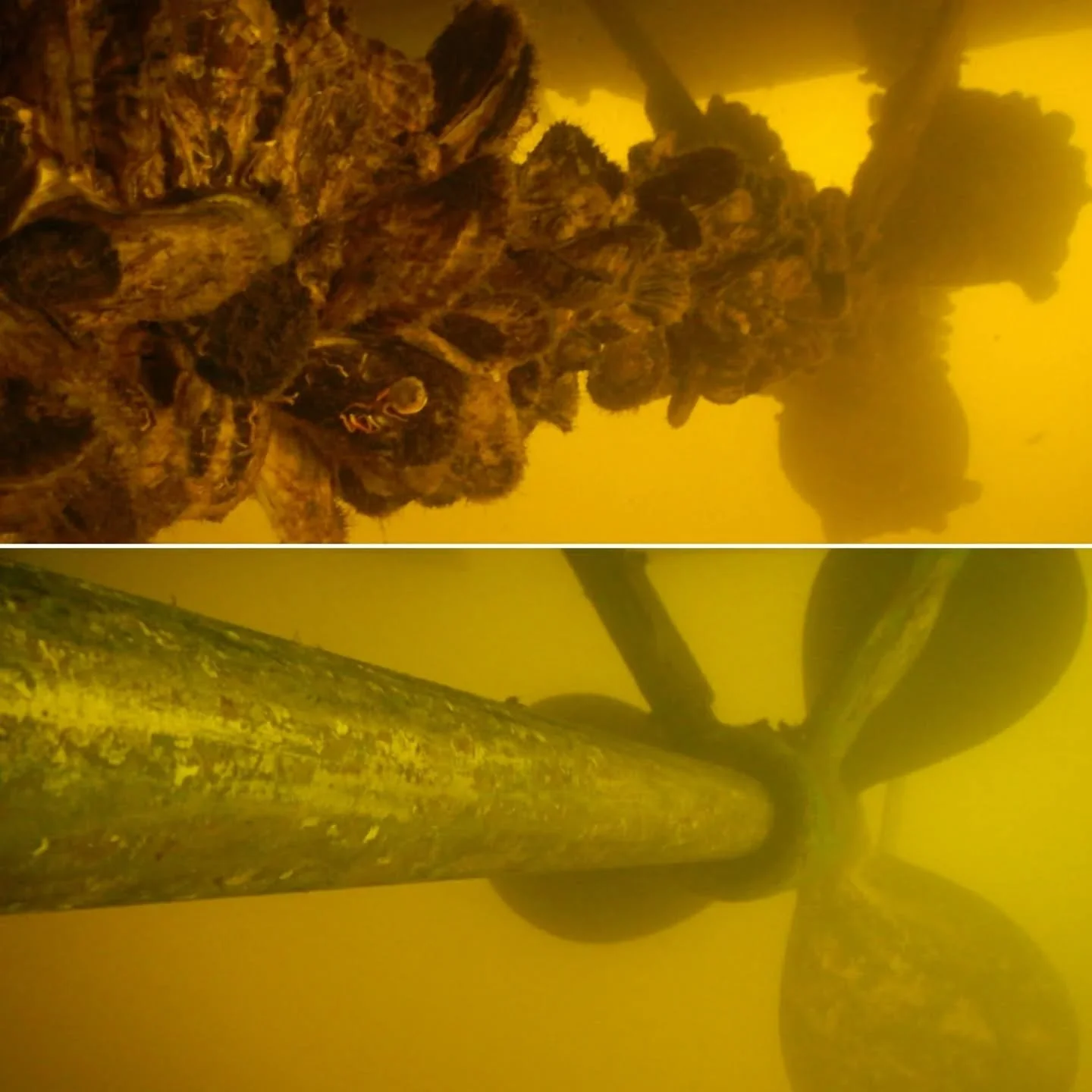 We aren't afraid of hard work and this one was a project! 80' Hatteras that sat for 8 months in a super high growth area. The running gear was stuck in place from the thousands of large oysters. A lot of time, air and elbow grease to get her ready fo