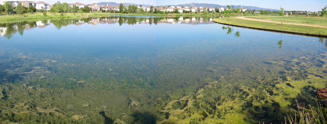 Example of an eutrophic lake