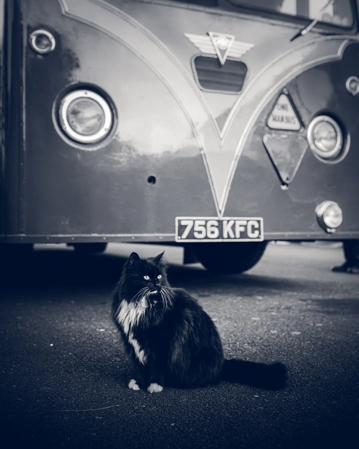 I got asked to cover one of the nicest birthday parties a few days ago. Full of fantastic folk, beautiful buses and cuddly cats. Many Happy Returns once again to @ashjblackman ! Did you know I was a bit of a bus fanatic? #Buses #Vintage #Birthday #Ca