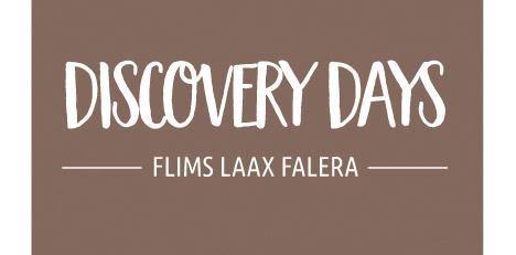 LOGO-Discovery-days-16-9.jpeg