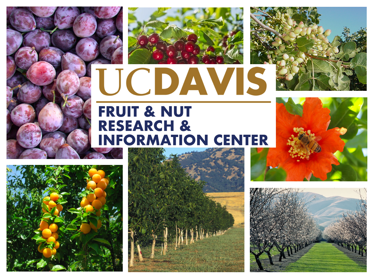 2021 Principles of Fruit &amp; Nut Tree Growth, Cropping &amp; Management 