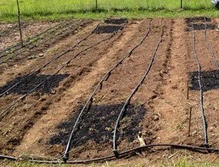 Seeking volunteers for UC Merced biochar study