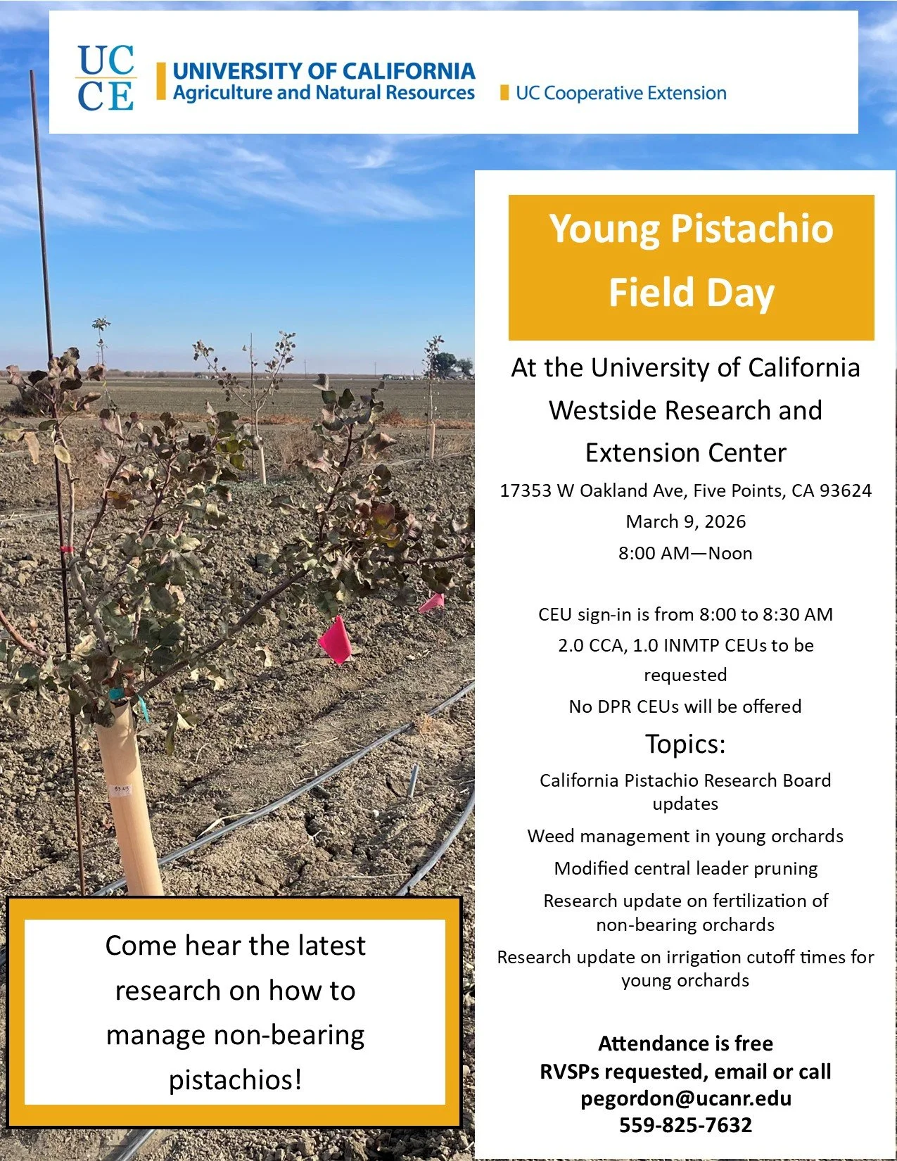 Young Pistachio Field Day
