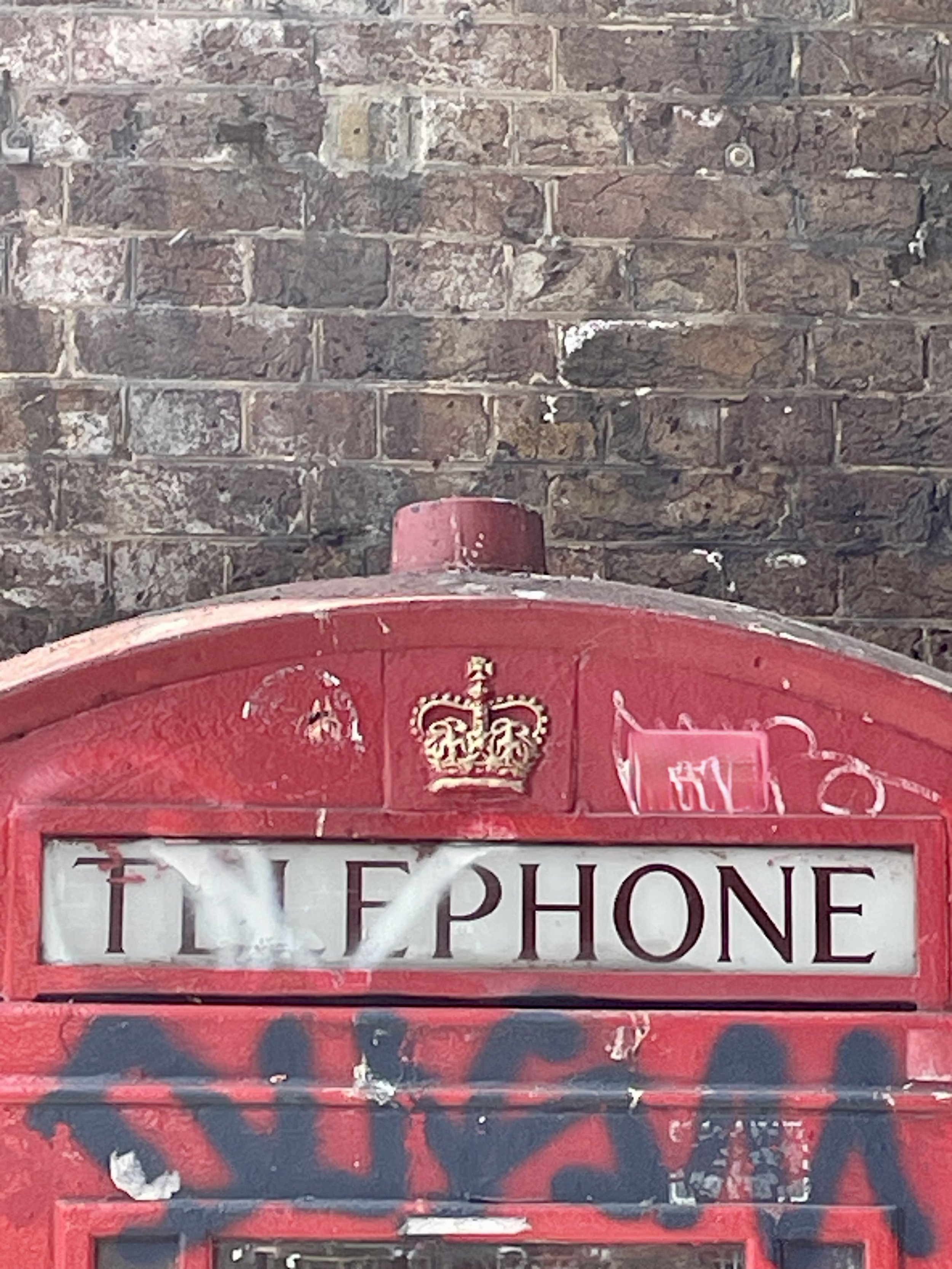 IMG_4178.jpeg