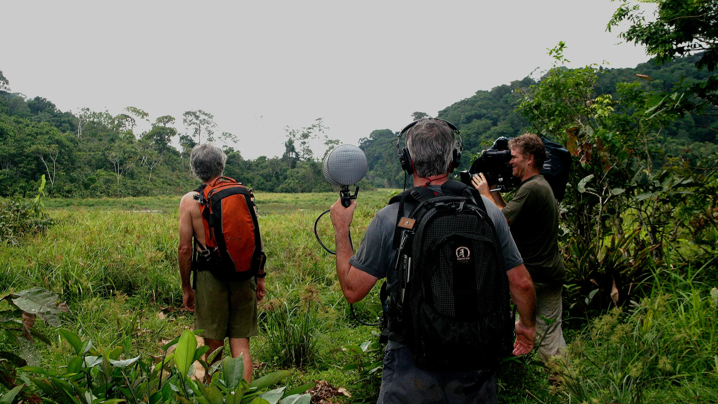  Adding a stereo mic to traditional filming can expand the sense of place. Filming this week-long, Gabonese jungle trek demanded efficiency, where switching between host audio and stereo wild track was seamless. 