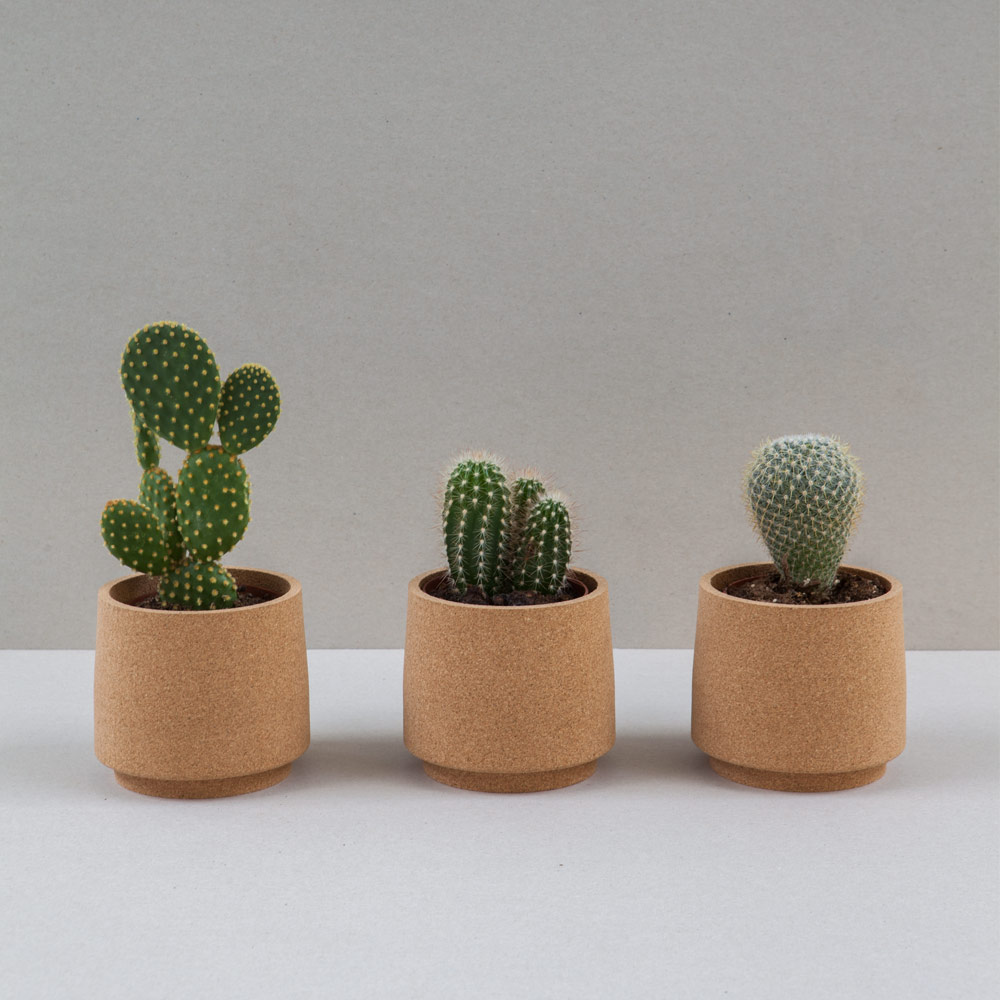 mind-the-cork-atlas-planter-2.jpg