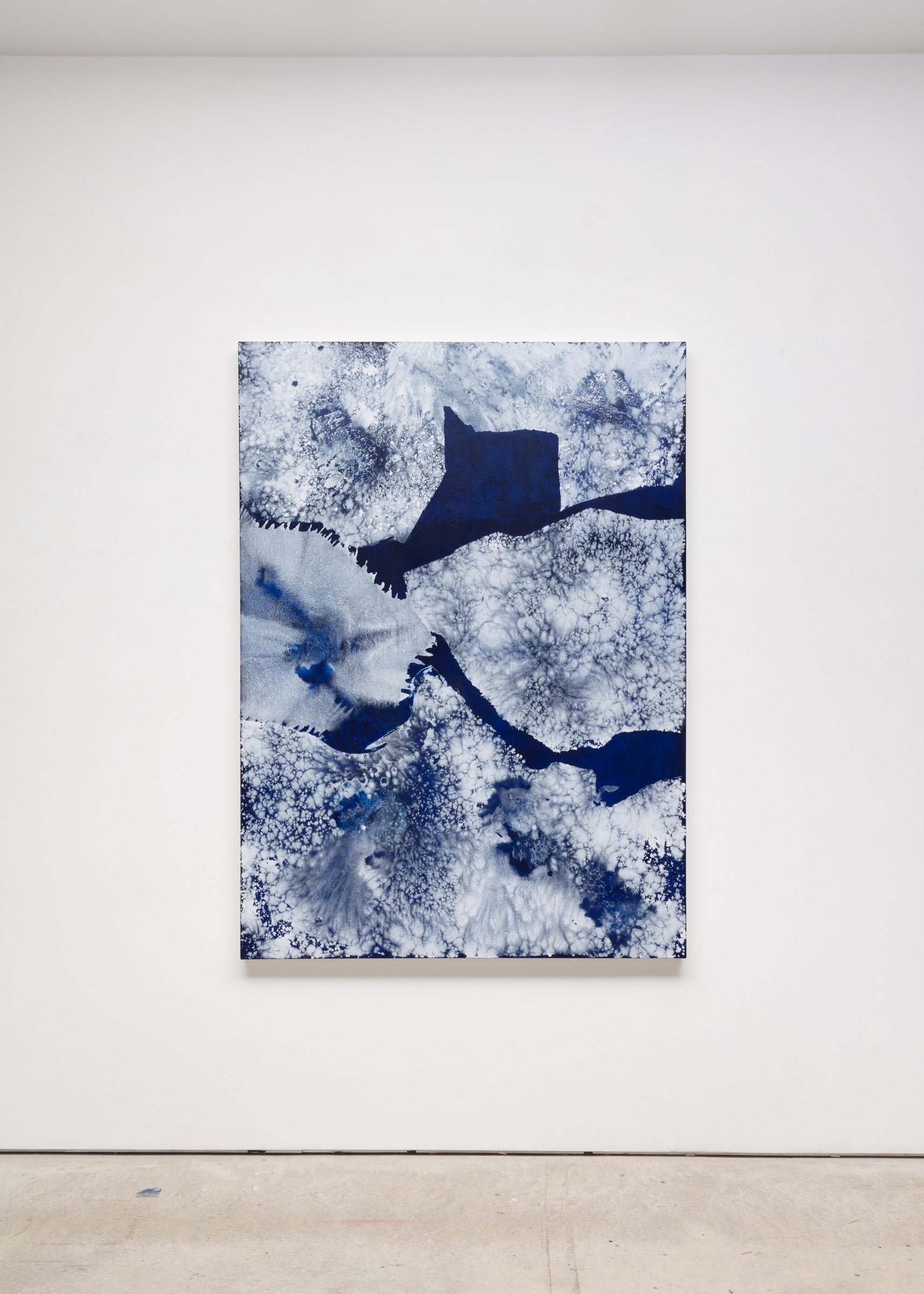  Celia Neubauer  Whispers in Ice, no. 6, 2023  acrylic on canvas 66 x 48 inches   SOLD 