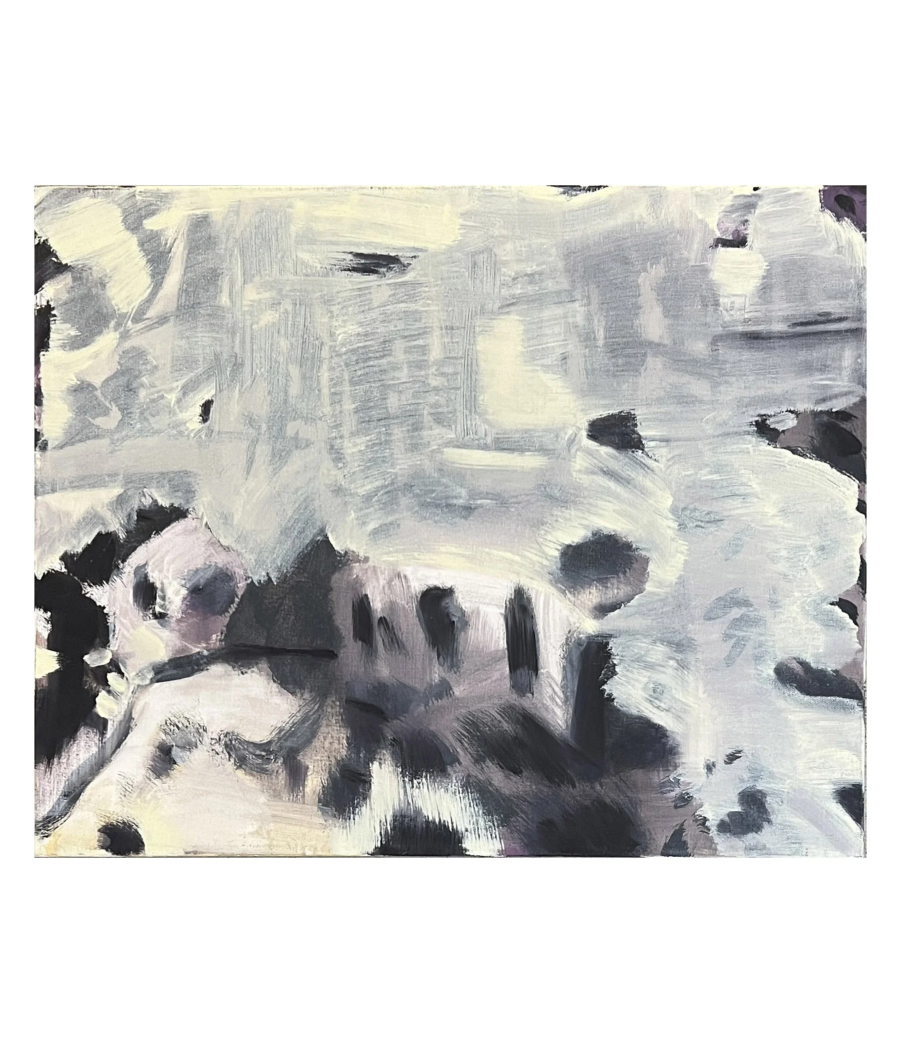 Stanzie Tooth Fog 16 x 20.jpg