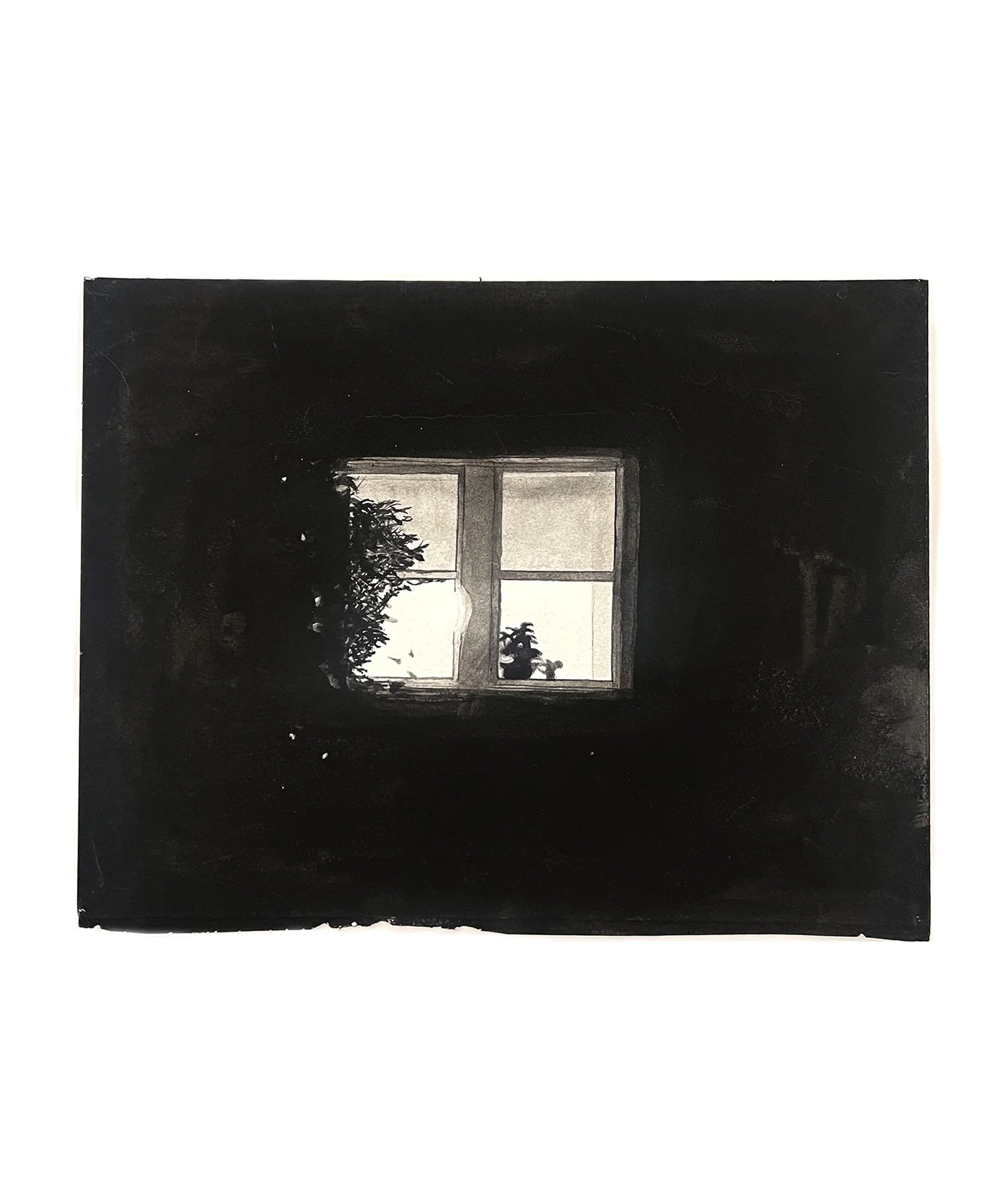Alex Bierk Window with plant2017 10 x 7.5 .jpg