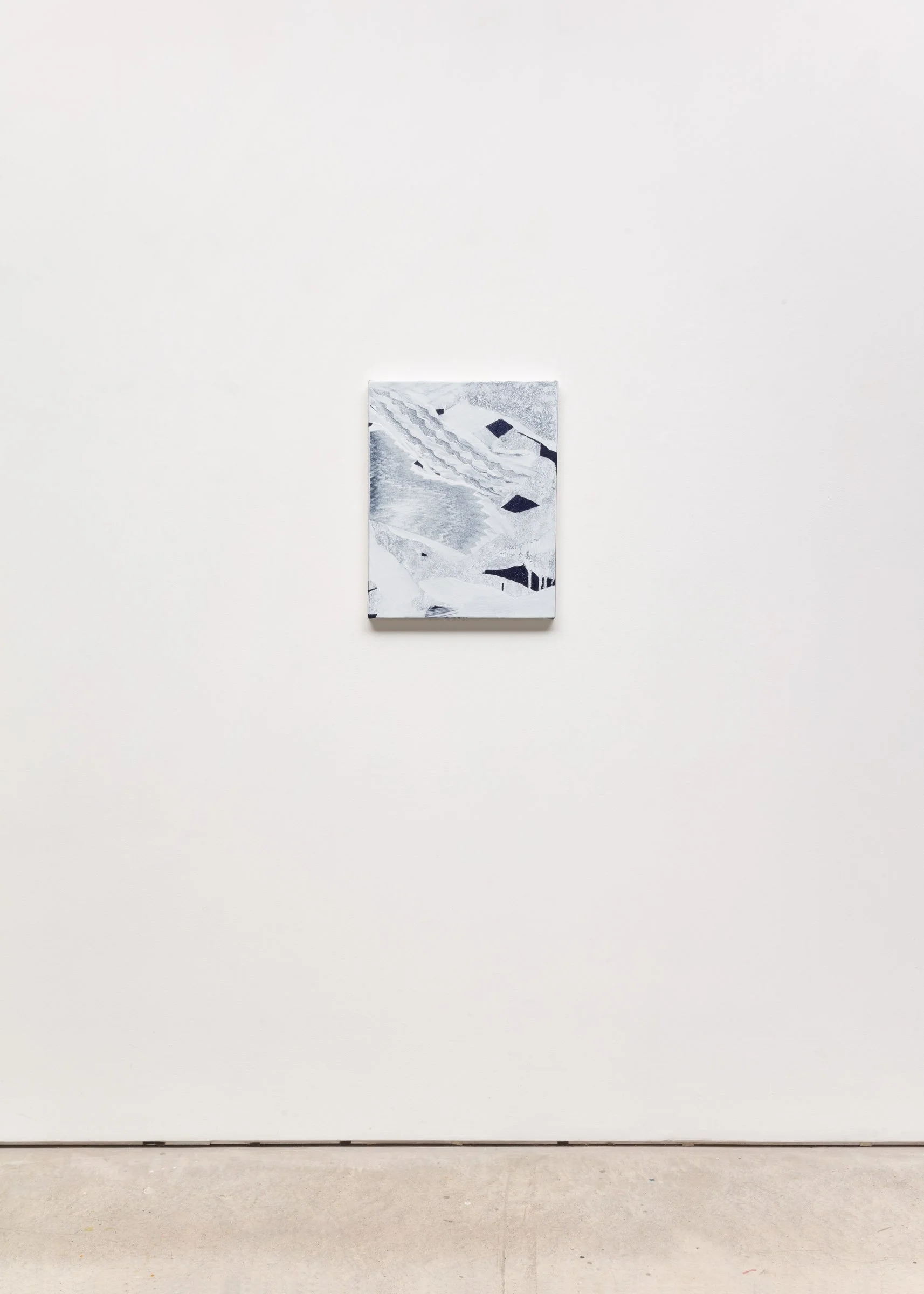 Celia Neubauer IMG_6448.jpg