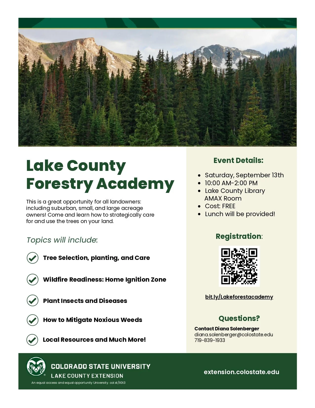 Forest Academy
