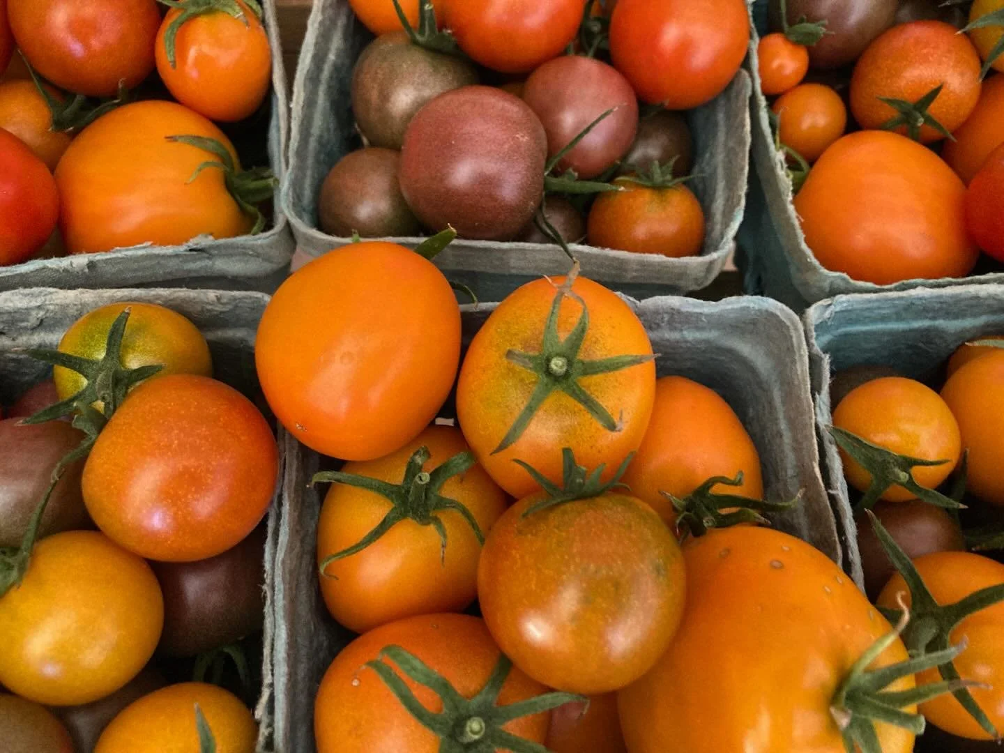 Don’t let the snow scare you away - Today is the LAST self serve Farm Market of the season! 9am-4pm at 440 McWethy Drive ✌🏼💚🍅