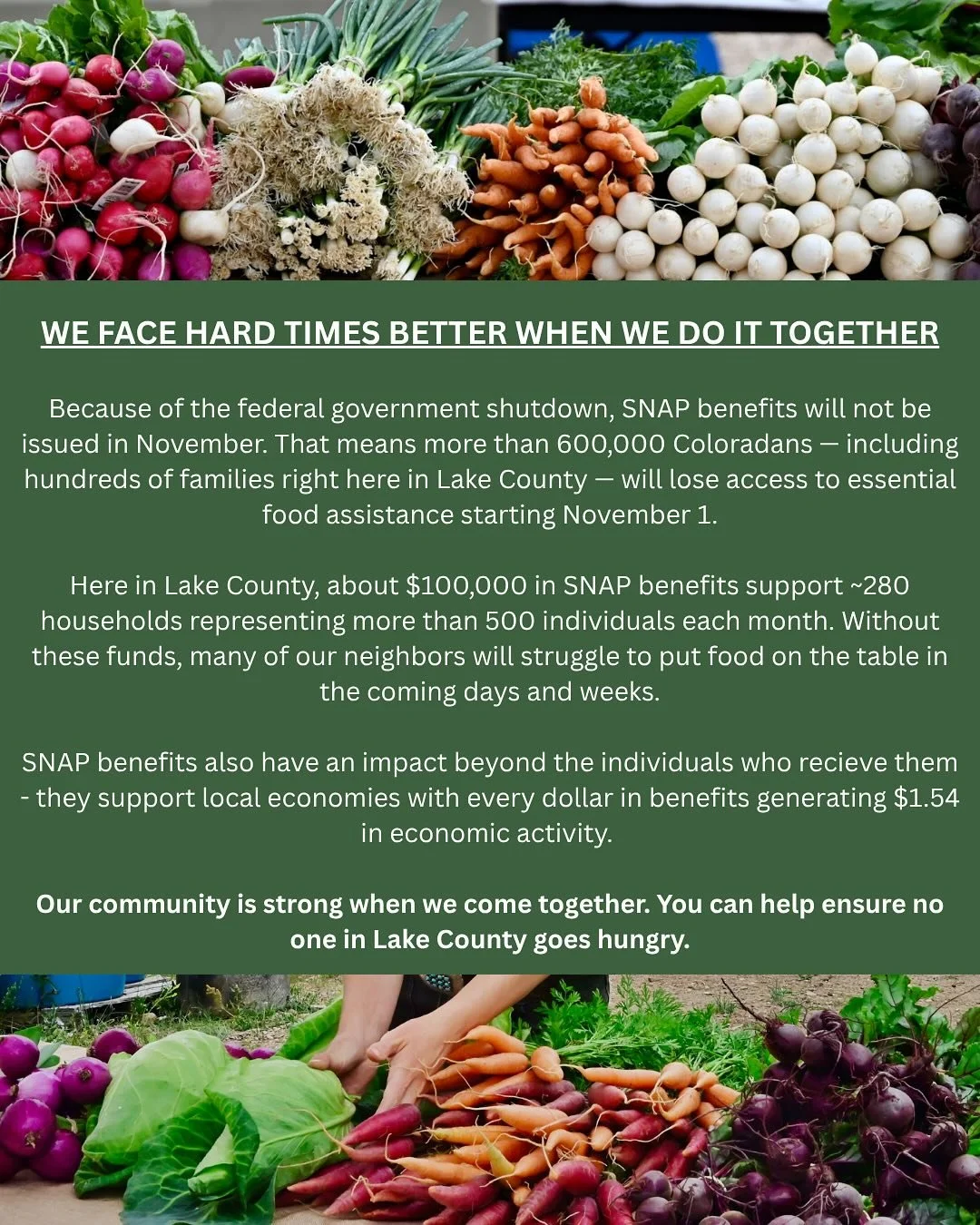 Our community is stronger when we come together. You can help ensure no one in Lake County goes hungry by donating, volunteering and speaking up ✌🏼💚🍅 #healthyplanethealthypeople