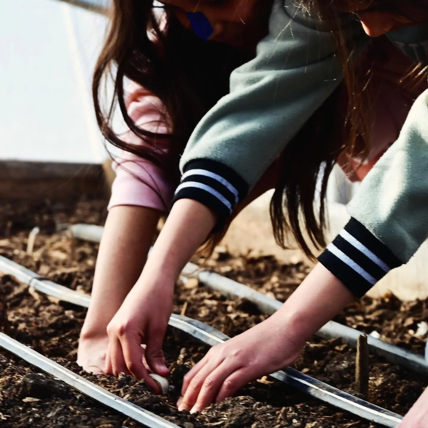 Democracy is a prerequisite for environmental justice to take root. The seeds of a healthy communities and a healthy planet are planted together. Our collective voices are what help them grow. 🌱🗣️🍀🌎💪

Through active participation, communication,