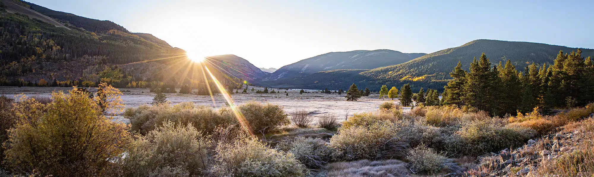 CMC Sustainability &amp; Ecosystem Science Conference 