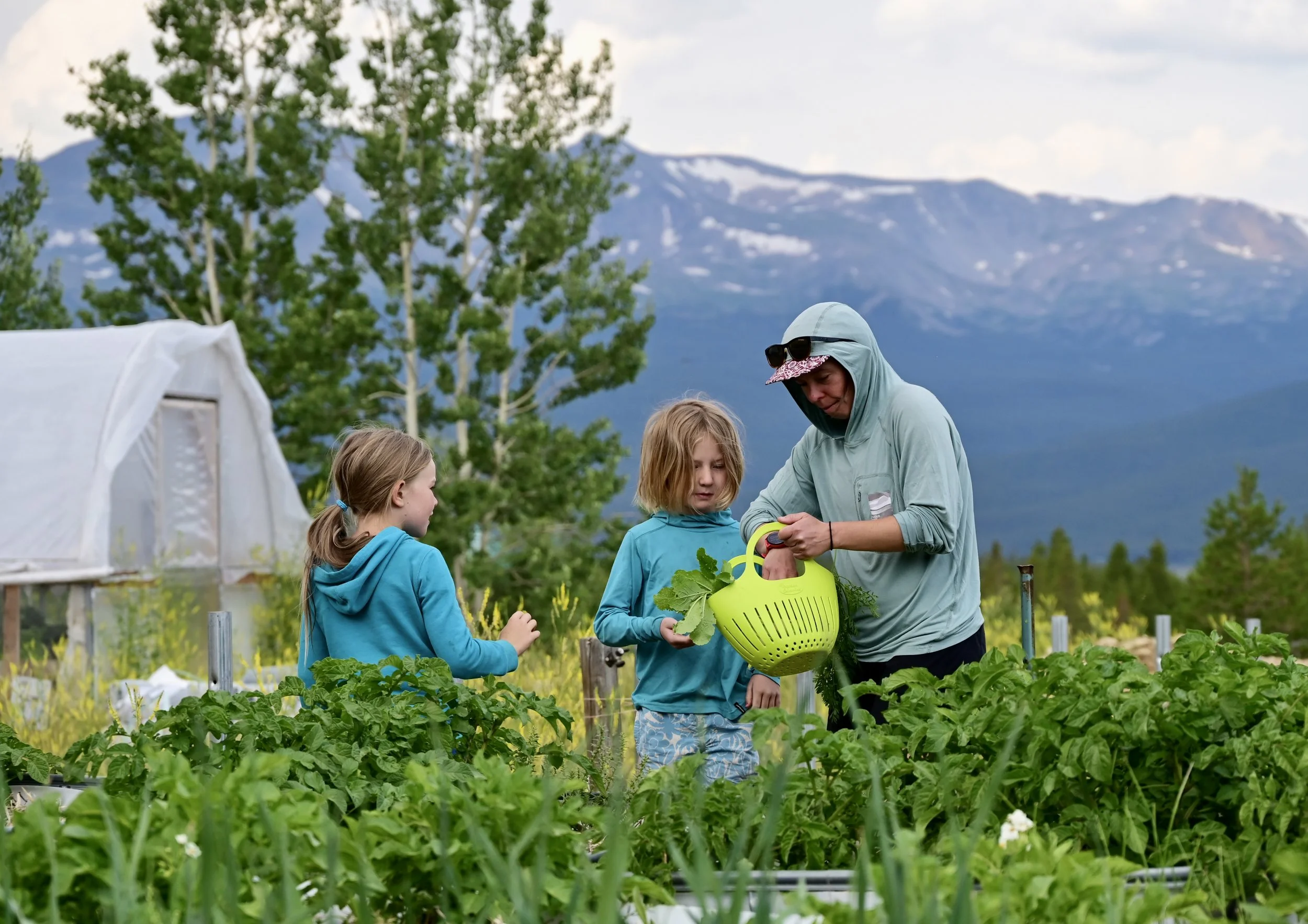 C4 Classes to Continue Through 2030