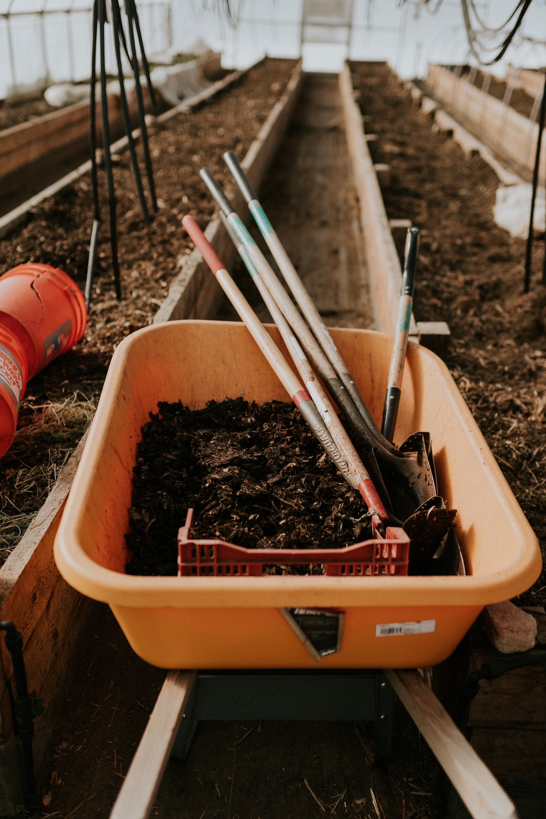 Farm Volunteer Day - June