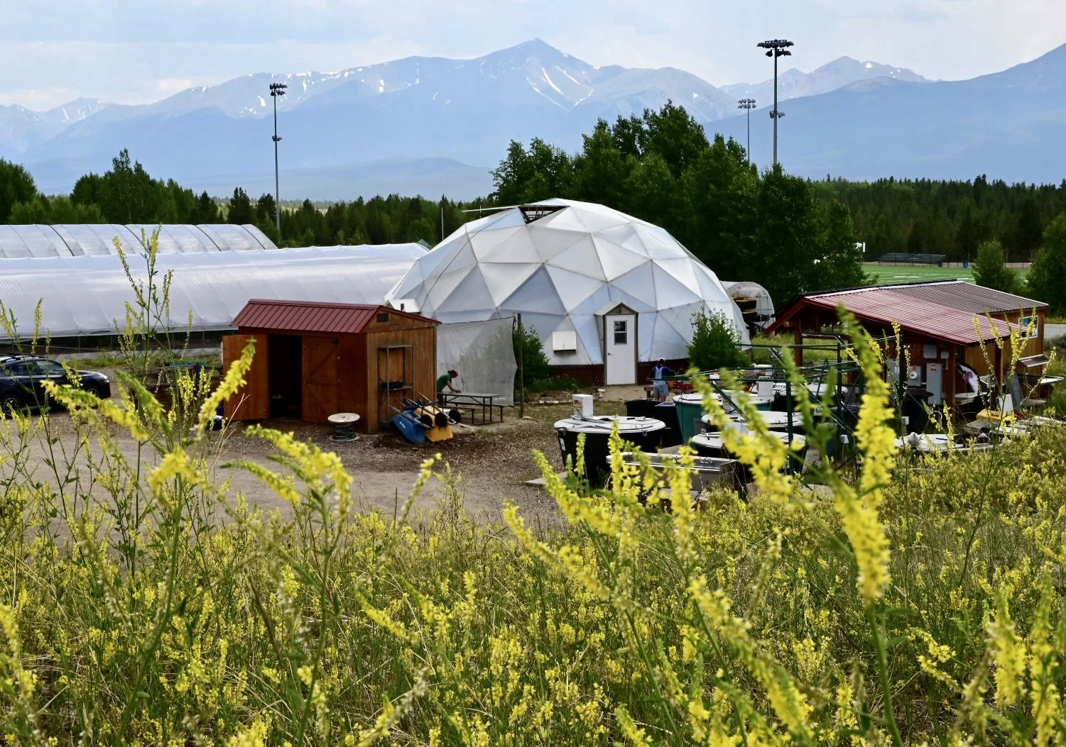 Fire Resistant Landscaping